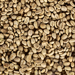 Guatemala Green / Raw Coffee Beans Grain Pro - 300g